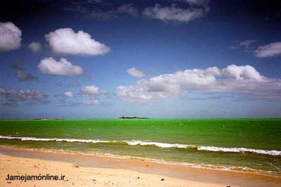 تصویر زیبایی از یک ساحل رویایی در مجمع‌الجزایر باهاما. عکس نیکول هیریگویان.