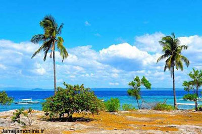 منظره‌ای بدیع از جزیره پامیلاکان در مجمع‌الجزایر بیزایاس در فیلیپین در دریای بوهول. این جزیره 5/2 کیلومتر طول و 500 متر عرض دارد. عکس آلیس اوب�