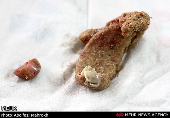 http://www.jahannews.com/images/docs/000250/n00250592-r-b-004.jpg