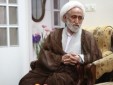 شورای‌نگهبان حق کسی را تضییع نمی‌کند/ نامزدها به قانون احترام بگذارند