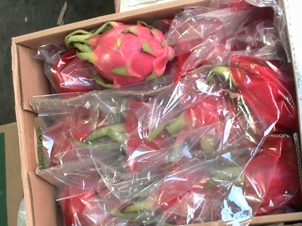توزیع فوری میوه‌های عجیب در تهران+عکس