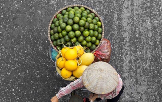 دوچرخه های  رنگی