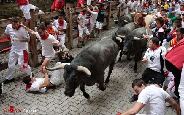 مسابقات گاوبازی در اسپانیا