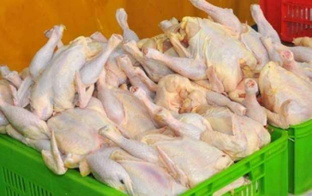 قیمت مرغ در آستانه ۱۲ هزارتومانی شدن