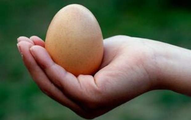 خواص تخم مرغ برای سلامتی